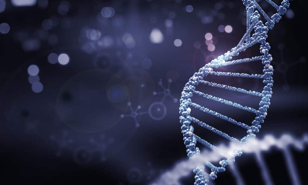 CRISPR-Cas9 e bambine geneticamente modificate 