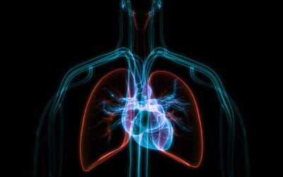 Fibrillazione atriale: nuova chirurgia con impulsi elettrici