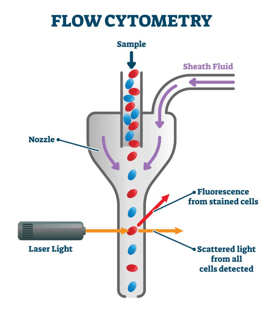 citometria a flusso