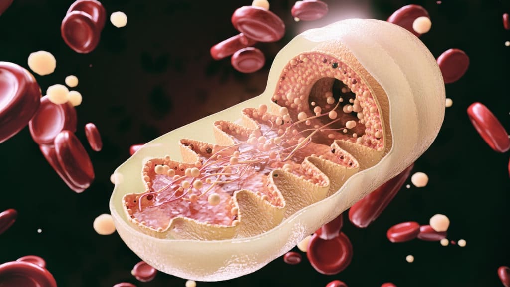 DNA DI TRE GENITORI