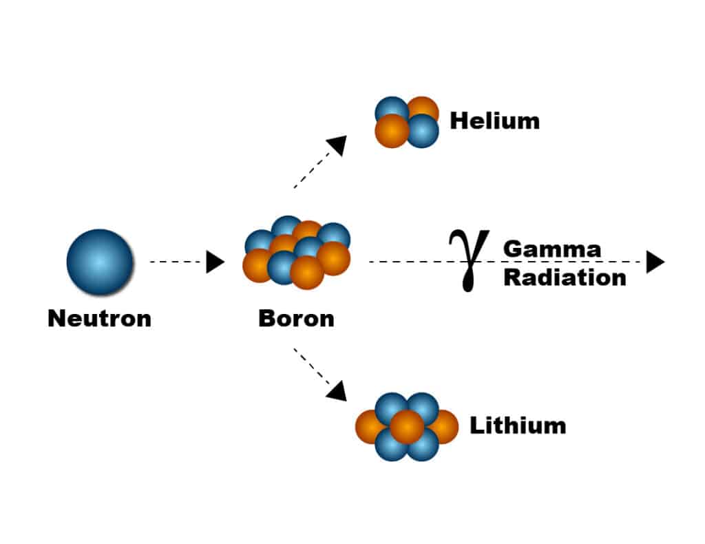BNCT: schema di azione dei neutroni termici