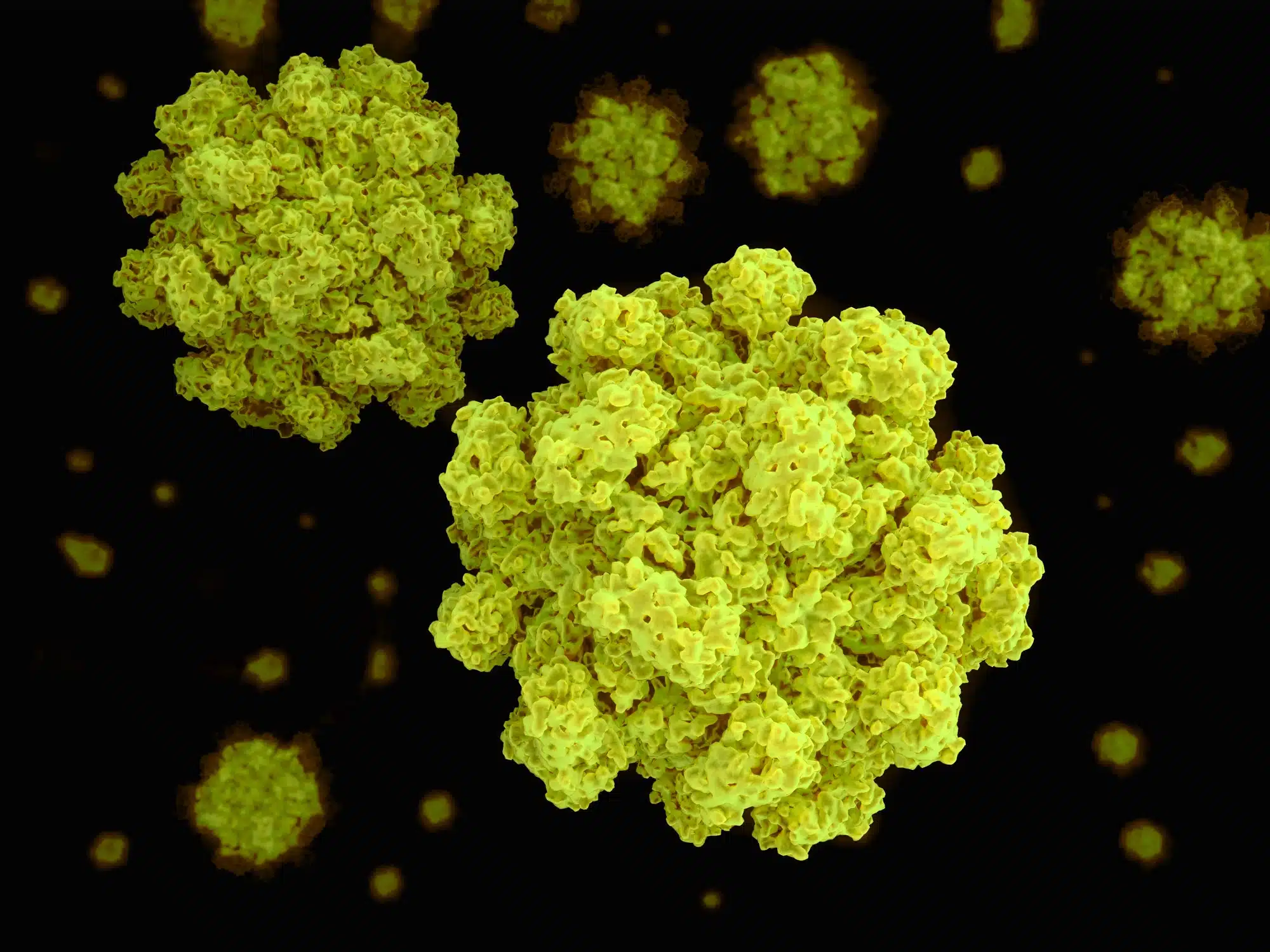 Norovirus: cos'è, legame con la gastroenterite, sintomi e prevenzione