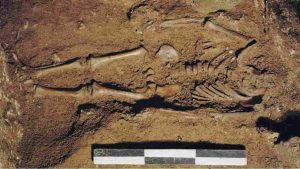 Bambino di 17.000 anni fa (MSN foto)