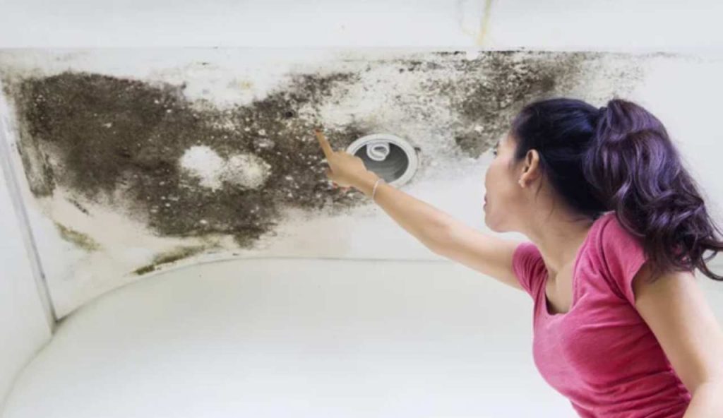 Una ragazza indica la muffa sul soffitto (Depositphotos)